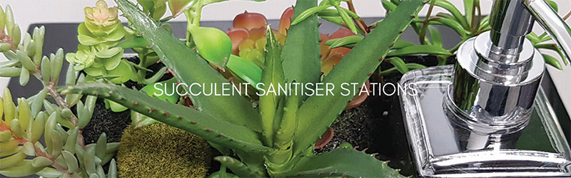 Succulent sanitiser